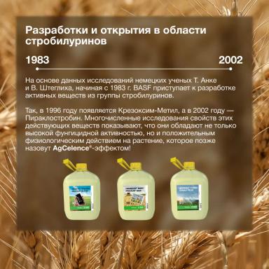 День химика