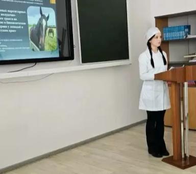 Впервые в Камчатском крае изучена гельминтофауна ЖКТ лошадей