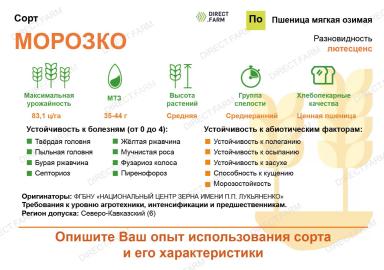 Морозко сорт пшеницы мягкой озимой