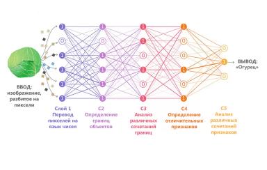 Нейросети в сельском хозяйстве?