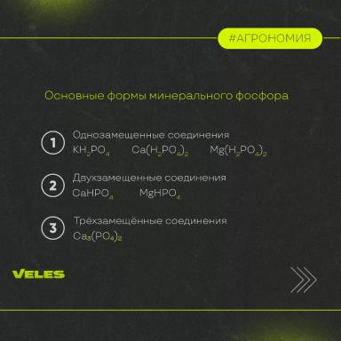 ФОРМЫ ФОСФОРА, ЕГО ВЗАИМОДЕЙСТВИЯ С ПОЧВОЙ. ФОСФОРНЫЕ УДОБРЕНИЯ.
