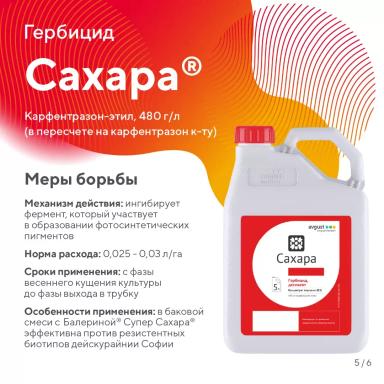 Вредный объект? У «Августа» ответ!