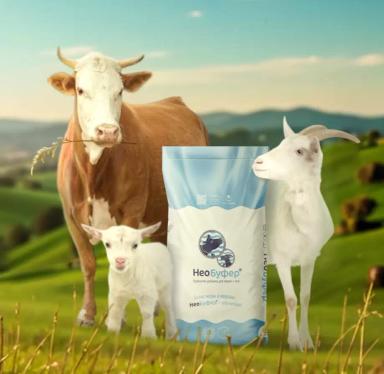 НЕОБУФЕР® – энергетическая буферная добавка