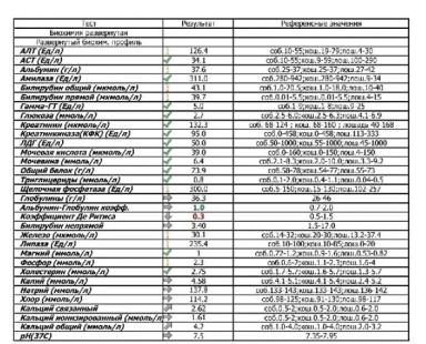 Вопросы из чатов: почему лошадь угнетена?
