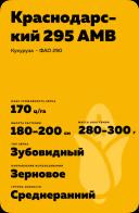 Краснодарский 295 АМВ гибрид кукурузы