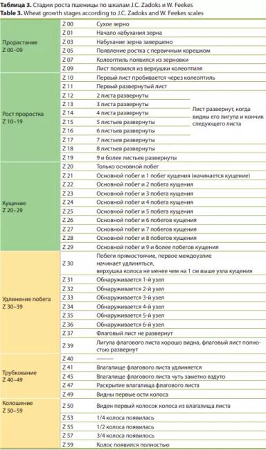 Определение фаз зерновых культур для пестицидных обработок