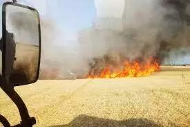 Владельцев сельхозземель могут обязать участвовать в тушении пожаров на них