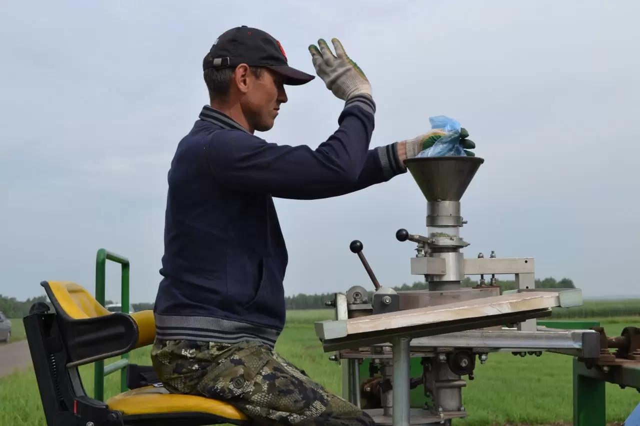 50 опытных делянок заложены в Татарстанском филиале Агрополигона «Приволжье»