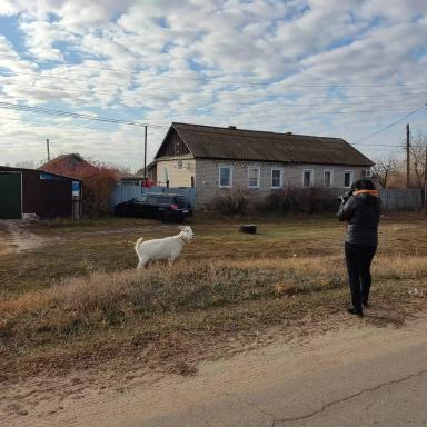 Экскурсии по сельским территориям