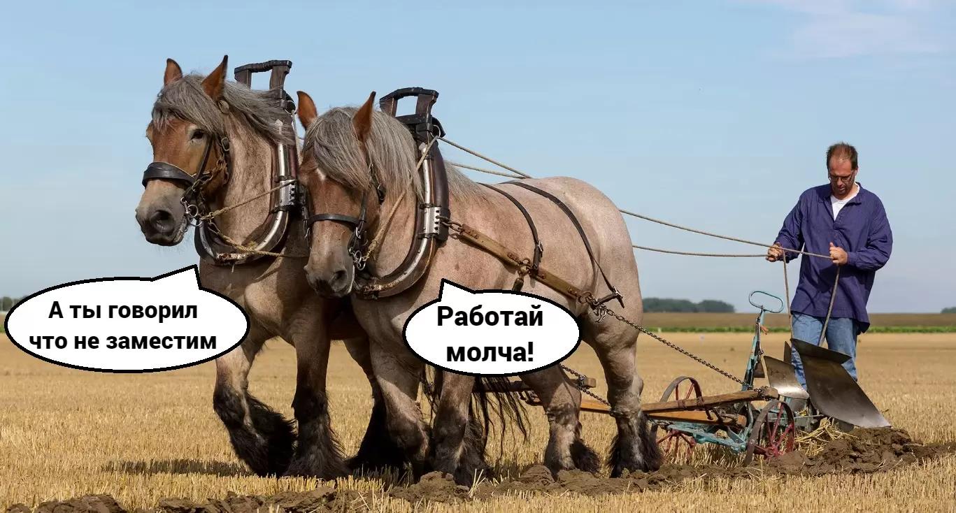 У России осталось не более 7 лет для замещения сельхозтехники