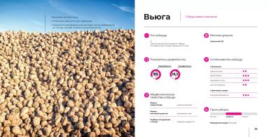 Вьюга гибрид сахарной свеклы