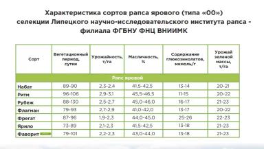 Ритм ® сорт ярового рапса