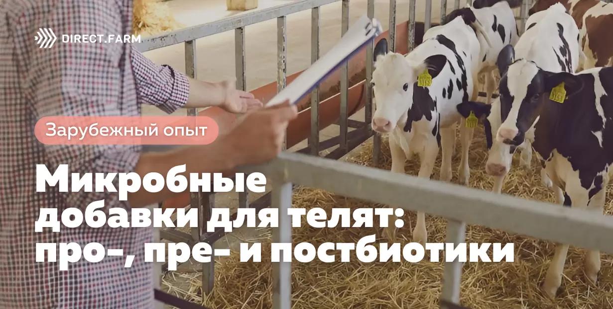 Микробные добавки для телят: про-, пре- и постбиотики