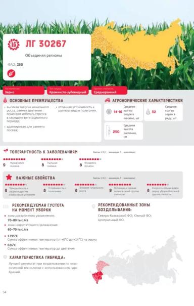 ЛГ 30267 гибрид подсолнечника Лимагрейн