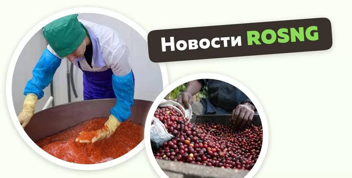 Обзор новостей за 14 декабря