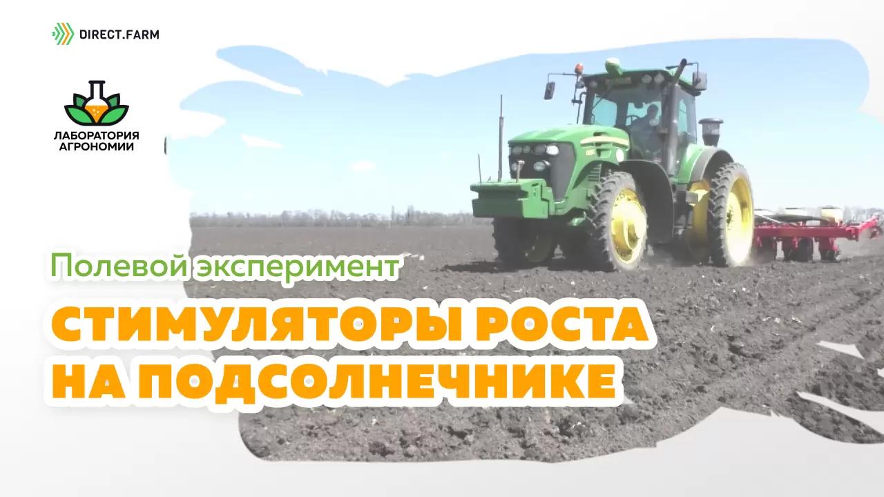 Обработка подсолнечника во время вегетации стимулятором и микроудобрениями