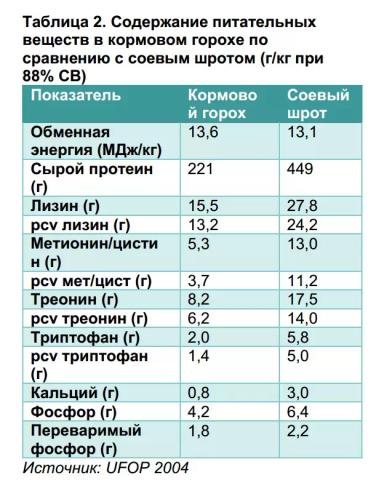 Кормовой горох в рационах свиней