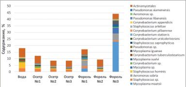 Пробиотик Целлобактерин+ для выращивания рыбы.