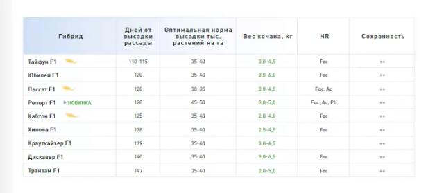 Пассат F1 (PASSAT)