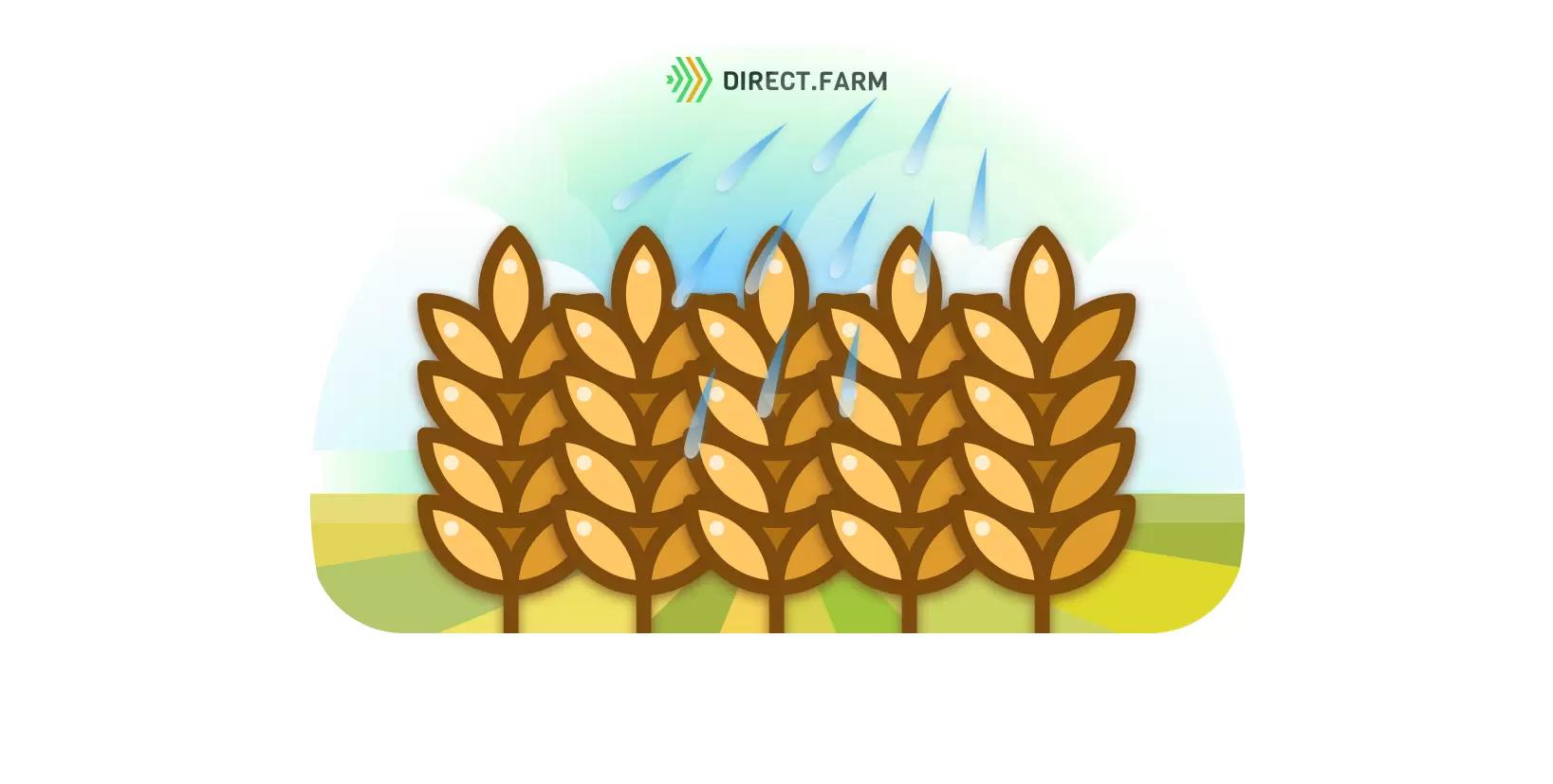 Нужно ли вносить микроэлементы в первые подкормки?