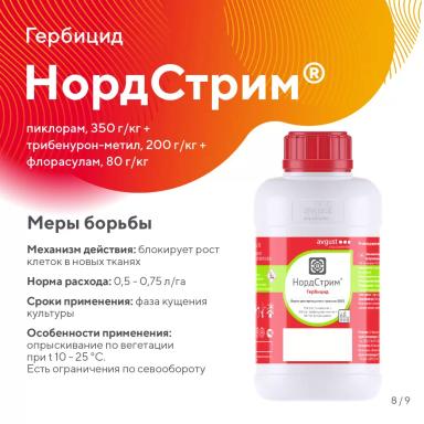 «Вредный объект? У «Августа» ответ!» – осот розовый в посевах зерновых