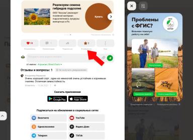Топ сортов яровой пшеницы