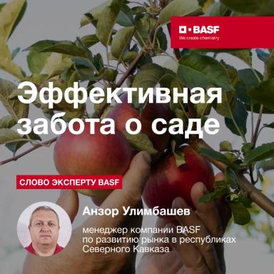Эффективная забота о саде