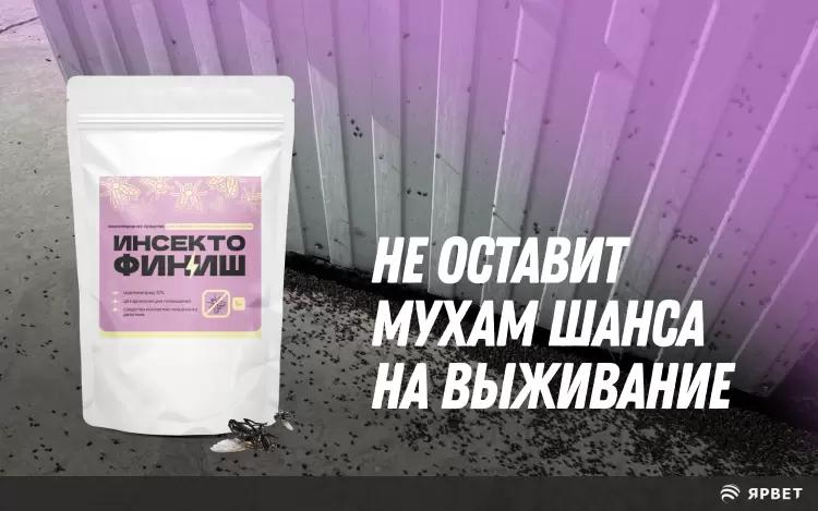 Научное обоснование эффективности ацетамиприда в борьбе с Musca domestica