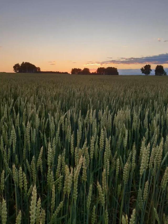 Новости с полей