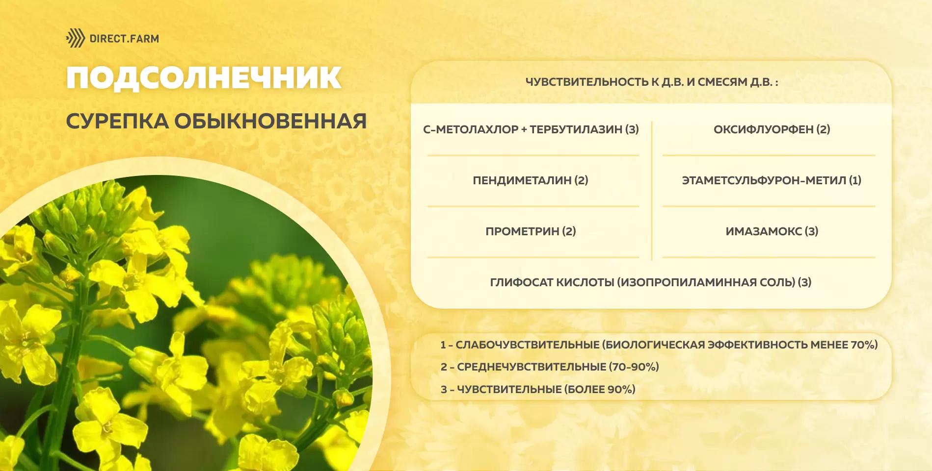 Шпаргалка чувствительности сурепки обыкновенной к д.в. гербицидов