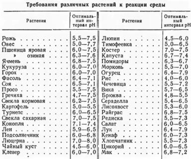 Выбор кормовой культуры для кислых почв