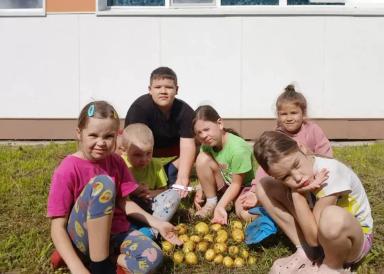 «Картофельный Бум!» и «Овощной Бум!» – конкурсы расширяют географию!