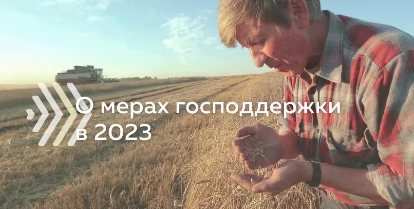 Низкая цена на зерновые: существующие и будущие меры поддержки СХТП