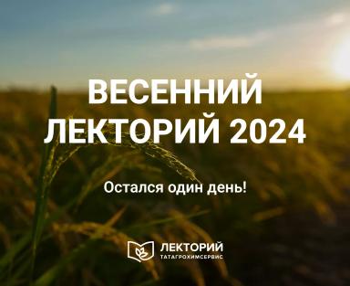 Рассказываем, что интересного вы можете узнать на Лектории!