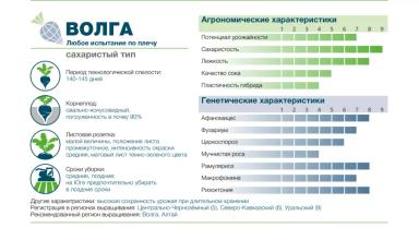 ВОЛГА