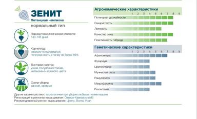 ЗЕНИТ