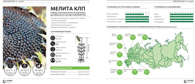 Мелита КЛП (MELITA CLP) гибрид подсолнечника