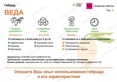 Веда - гибрид свеклы сахарной Штрубе Рус