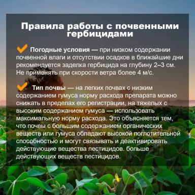 🌱 Продолжаем заботиться о будущем урожае сои.