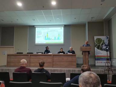 Что происходит с ценами на зерновые и масличные культуры?