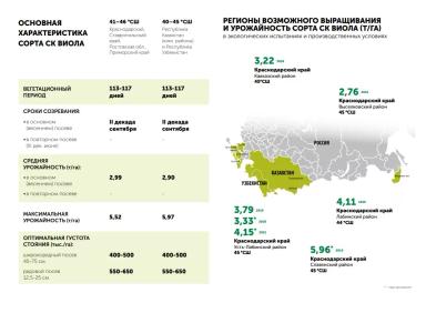 СК Виола сорт сои