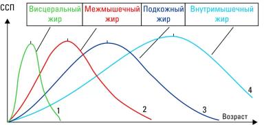 Дюдэ – Овцеводство. Гл. 11. Ч. 1. Биологические аспекты производства баранины