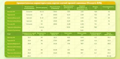 Омская 42 ® сорт мягкой яровой пшеницы