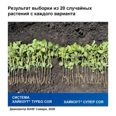 Продолжается активная работа по оценке технологий для защиты и питания сои
