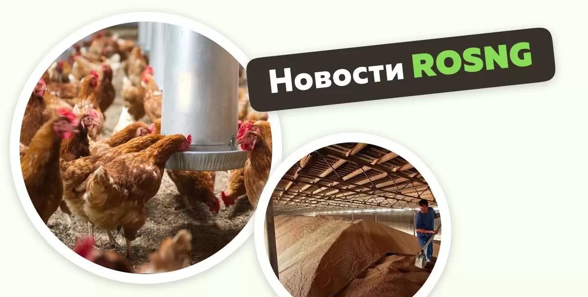 Обзор новостей за 29 марта