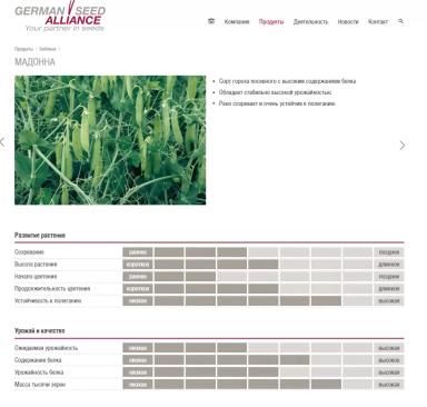 Мадонна (MADONNA)