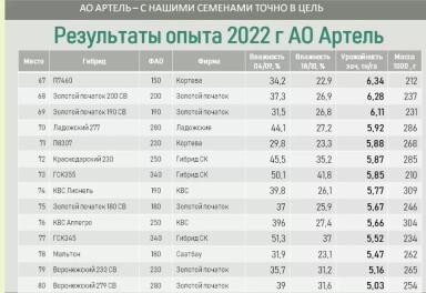 Алгоритм выбора гибрида кукурузы