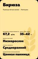 Бирюза сорт мягкой озимой пшеницы