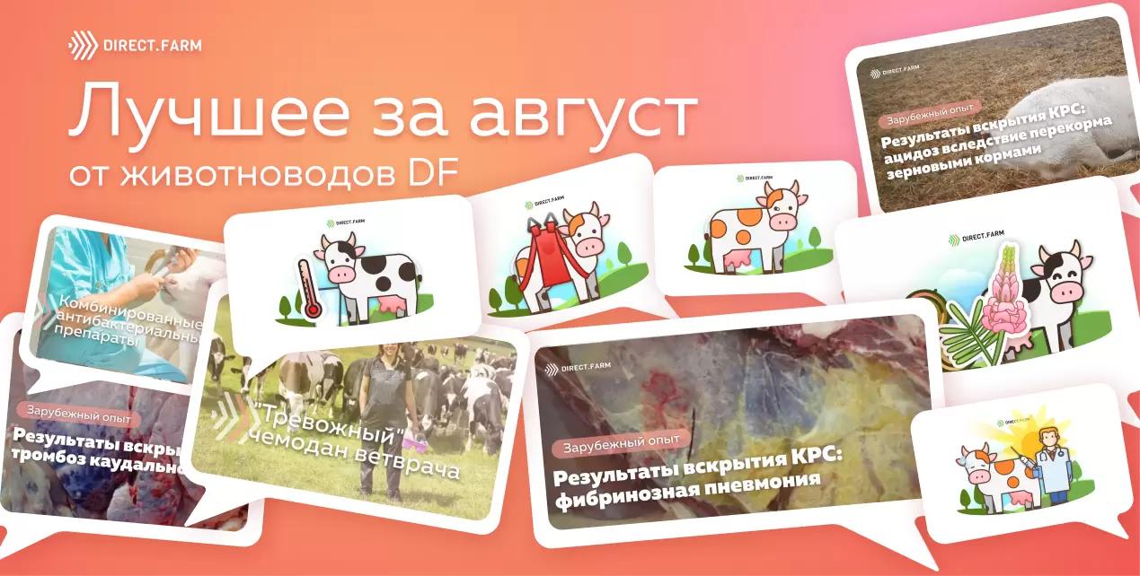 ТОП-10 статей от животноводов DF за август