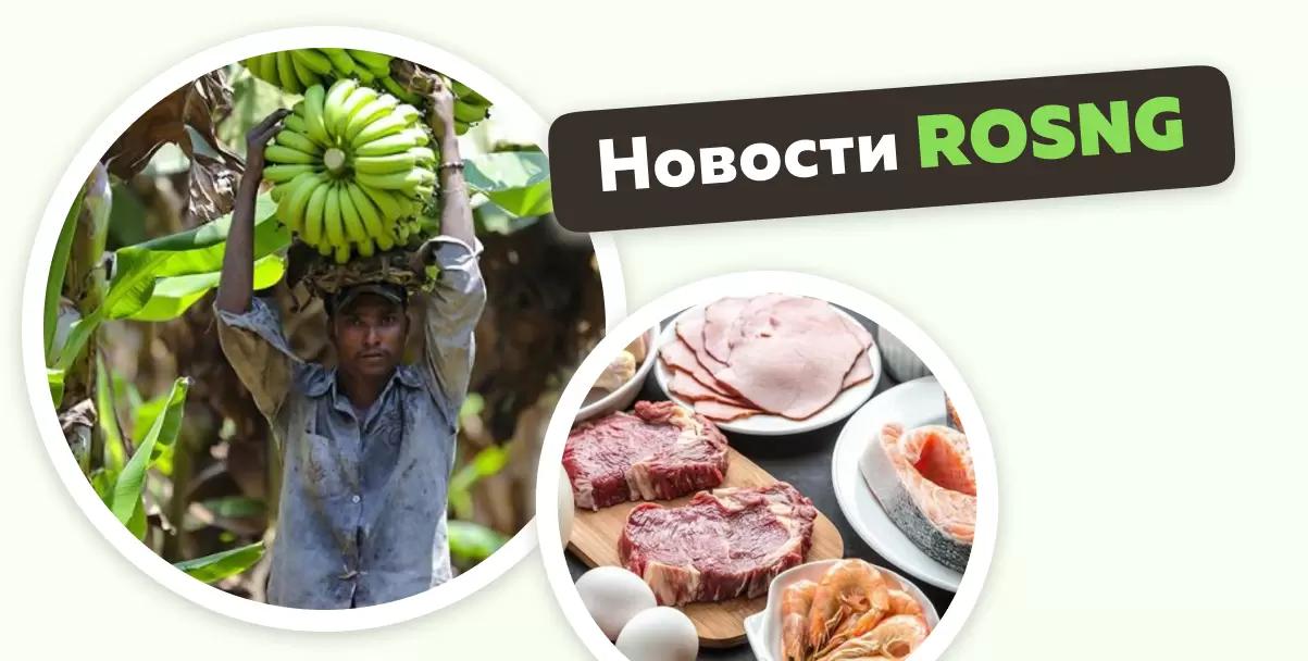 Обзор новостей за 16 февраля